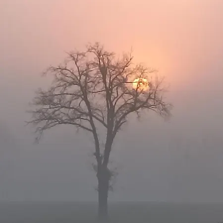 La Bruyere - - Tréban