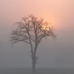 La Bruyere - - Tréban