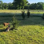 La Bruyere - - Bed & Breakfast 3*