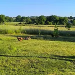 Bed & Breakfast La Bruyere - - 3*