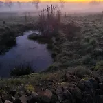 La Bruyere - - Bed & Breakfast