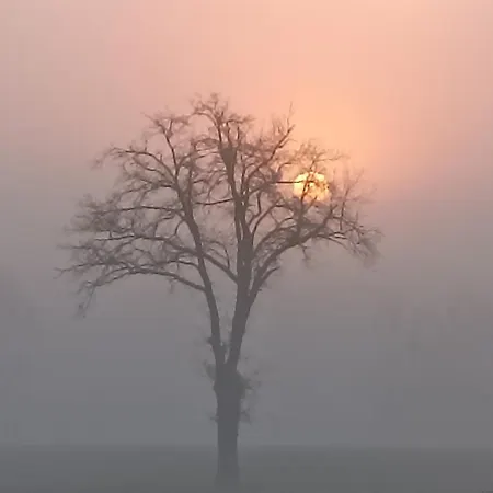 La Bruyere - - Tréban