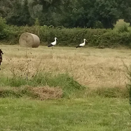 La Bruyere - - 3* Tréban