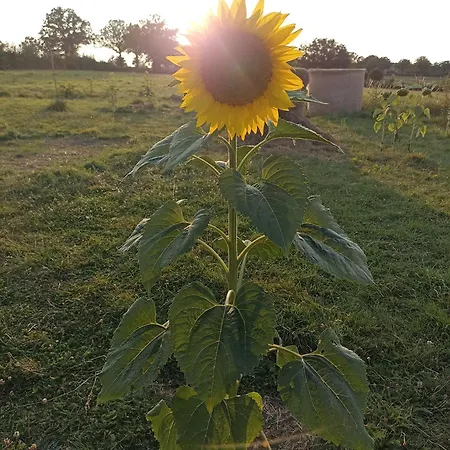 La Bruyere - - 3* Tréban
