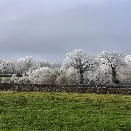 La Bruyere - - *
