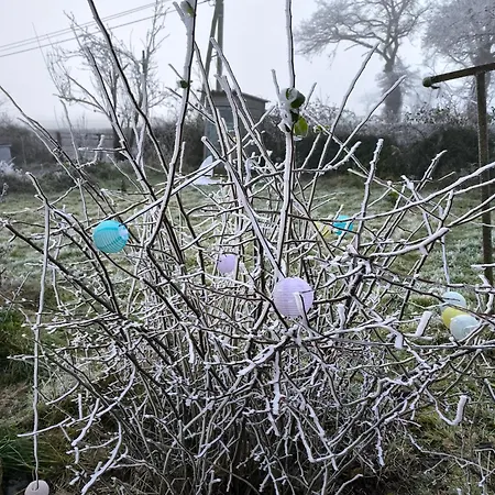 La Bruyere - - Tréban