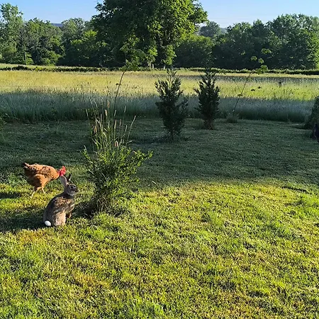 La Bruyere - - Bed & Breakfast 3*