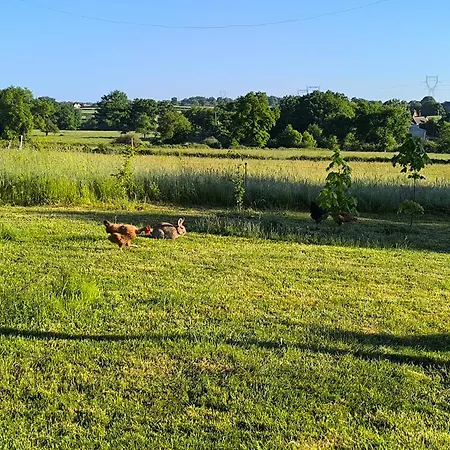 Bed & Breakfast La Bruyere - - 3*